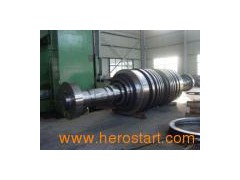 Forged Generator Rotor图1