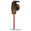 Temperature and Pressure Relief Valve 01