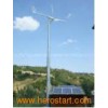 Wind Generator Turbine System (FY-2KW/48V)
