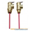 Temperature and Pressure Relief Valve