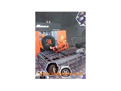 Digital X-ray inspection system for Tyre图1