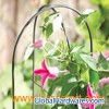 Grow through plant supports super perfect for heavy head flo