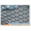 hexagonal  netting