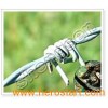 Barbed Wires