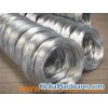 Galvanized Iron Wire