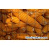 welded wire mesh