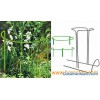 Garden border plant supports for plants along a wall or path