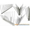 Pigeon spikes keep pigeons from your building and home