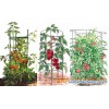 Tomato support - to get excellent tomatoes harvest