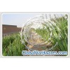 Razor Wire