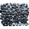 Supply black pebble stone