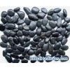Supply black pebble stone