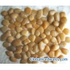 Supply yellow pebble stone
