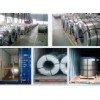 Steel / Galvanized Steel Coil