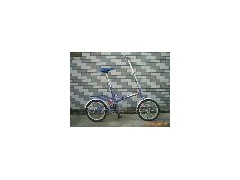 Bike图1