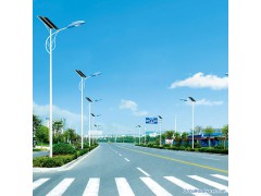 Solar Street Lamp图1