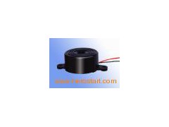 Electric Buzzer (SFM-20-C)图1