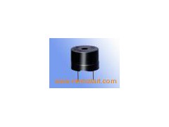 Electric Buzzer (YMD-12095-G)图1