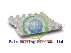 pulp egg trays(grey)图1