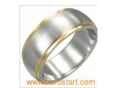 Stainless Steel Ring (HXR003)图1