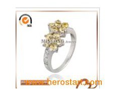 Fashion Ring (JZ-1394)图1