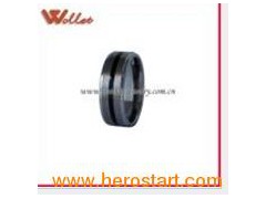 Tungsten Carbide Rings (TSR-0301)图1
