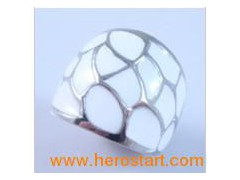 Fashion Jewelry Stainless Steel Ring (HBNR02301)图1