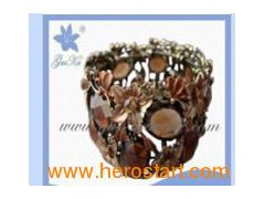 New Fashion Bangles in Nice Design (AB-013)图1