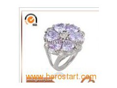 Ring (JZ-1365)图1