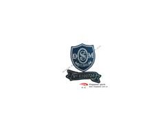 offer ritzy stitches图1