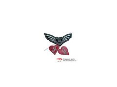 offer applique embroidery / pin badge / embroidery emblem图1