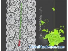 2011 new Manufacturer marketing lace图1