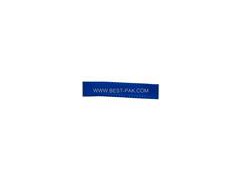 ribbon81图1