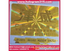 Digital inquires the hologram图1
