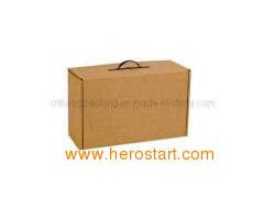Corrugated Suitcase Carton Box (FP0113)图1