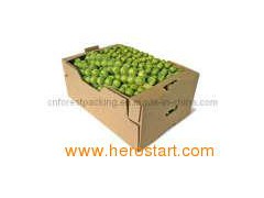 Vegetable Packaging Carton Box (FP0011)图1