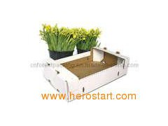 Green Plant Packaging Boxes图1