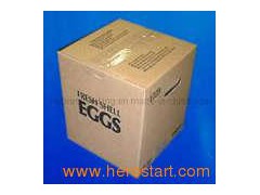 Egg Carton Packing图1
