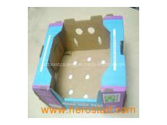 Packing Box for Fresh Fruit With Ventilation Holes图1