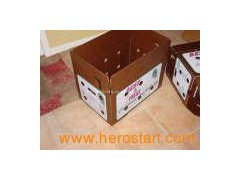 Carton Boxes for Fresh Vegetable图1
