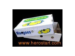 Mangoes Corrugated Cardboard Box Carton (FP0123)图1