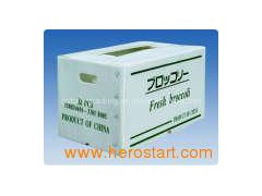 Printed Boxes for Packing Vegetable图1