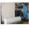 PP Woven Fabric