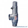 High Lift Safety Valve