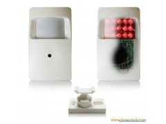 PIR Motion Detector Camera图1