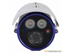 1/3 Sony CCD 700tvl Outdoor Day/Night CCTV Camera (SX-8803AD图1