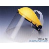 Face Shield