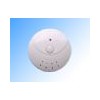 offer smoke alarm GS506
