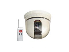 CCD Pan/Tilt Dome Camera图1