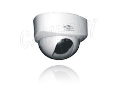 B/W Dome Camera图1